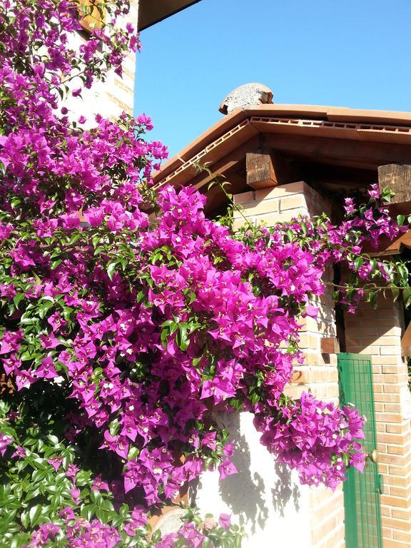 Villa Il Fortino Лидо Ди Камайоре Екстериор снимка