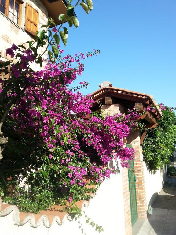 Villa Il Fortino Лидо Ди Камайоре Екстериор снимка